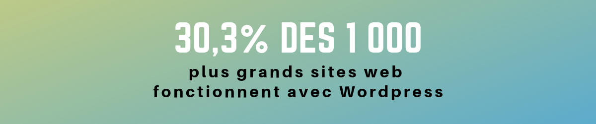 Les 4 pratiques essentielles pour sécuriser votre site WordPress en 2021 3 La sécurité sur wordpress concerne 30% des plus grands sites web mondiaux