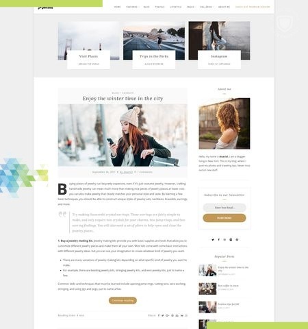 Anariel Lite est l'un des meilleurs thèmes WordPress gratuits pour cette année.