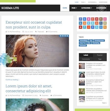 Schema Lite est l'un des meilleurs thèmes WordPress gratuits pour cette année.