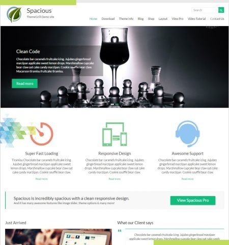 Spacious est l'un des meilleurs thèmes WordPress gratuits pour cette année.