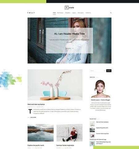 Cenote est l'un des meilleurs thèmes WordPress gratuits pour cette année.