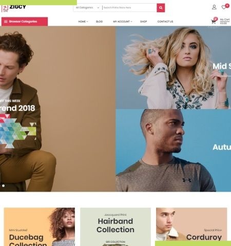 Zigcy Lite est l'un des meilleurs thèmes WordPress gratuits pour cette année.