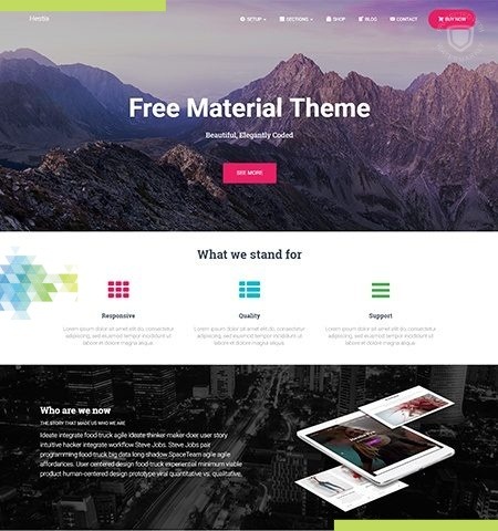 WordPress, les meilleurs thèmes gratuits 2020 2 Hestia est l'un des meilleurs thèmes WordPress gratuits pour cette année.