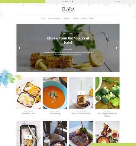 Elara est l'un des meilleurs thèmes WordPress gratuits pour cette année.
