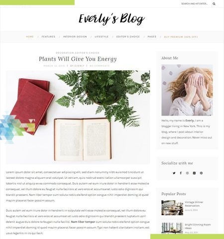 C'est l'un des meilleurs thèmes WordPress gratuits pour cette année.