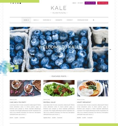 C'est l'un des meilleurs thèmes WordPress gratuits pour cette année.