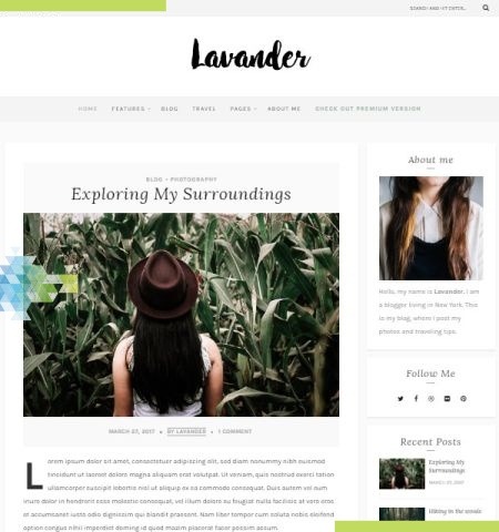 C'est l'un des meilleurs thèmes WordPress gratuits pour cette année.