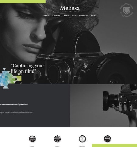 C'est l'un des meilleurs thèmes WordPress gratuits pour cette année.
