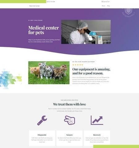 WordPress, les meilleurs thèmes gratuits 2020 17 Il est classé sur la liste des meilleurs thèmes WordPress gratuits pour cette année.
