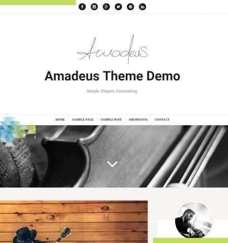 Amadeus est l'un des meilleurs thèmes WordPress gratuits pour cette année.